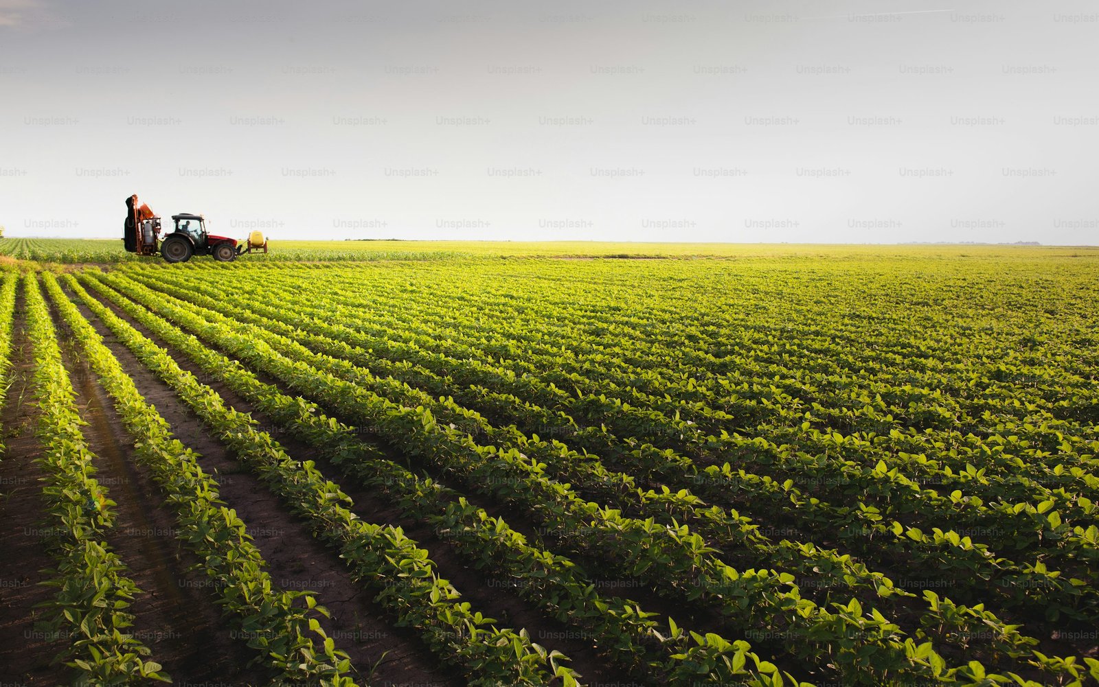 Farm Land